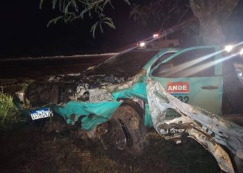 Funcionarios de la ANDE salen ilesos tras colisión con caballo en Yby Yaú