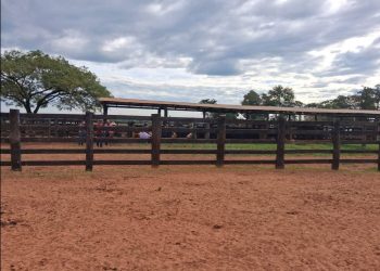 Asaltaron estancia en Tacuatí y tomaron de rehenes a empleados