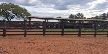 Asaltaron estancia en Tacuatí y tomaron de rehenes a empleados