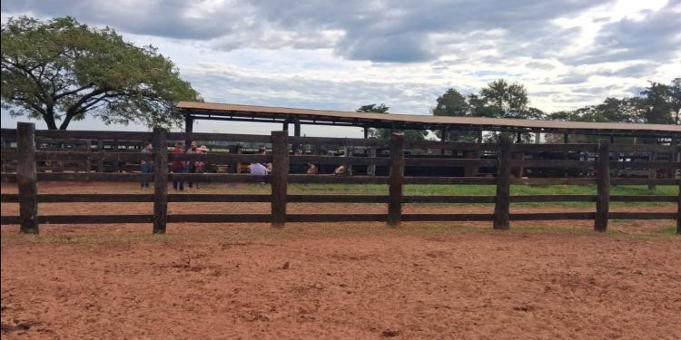 Asaltaron estancia en Tacuatí y tomaron de rehenes a empleados