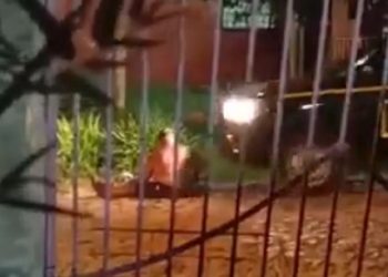 Empresa despide a chofer tras atropello que generó indignación en redes