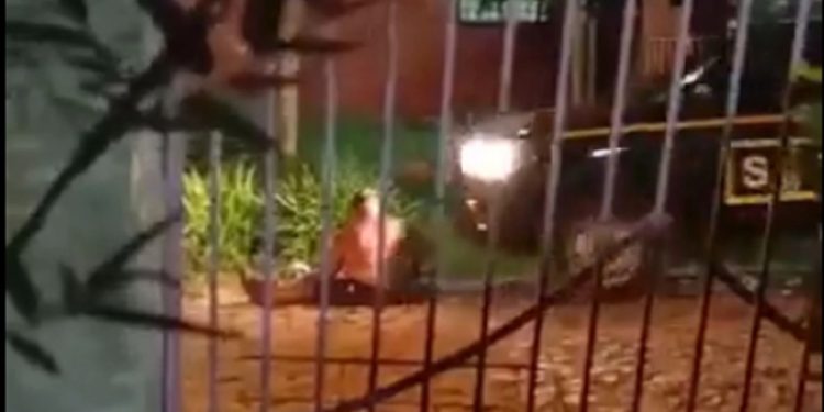 Empresa despide a chofer tras atropello que generó indignación en redes