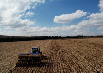 A pesar de volatilidad de la situación mundial, hablan de cifras récord en la zafra y la zafriña