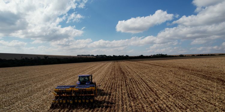 A pesar de volatilidad de la situación mundial, hablan de cifras récord en la zafra y la zafriña
