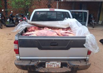 Caen dos hombres con más de 600 kilos de carne vacuna de dudosa procedencia en Concepción