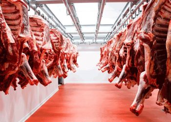 Paraguay logra acuerdo con la Unión Europea sobre cuota Hilton tras dos décadas de negociaciones