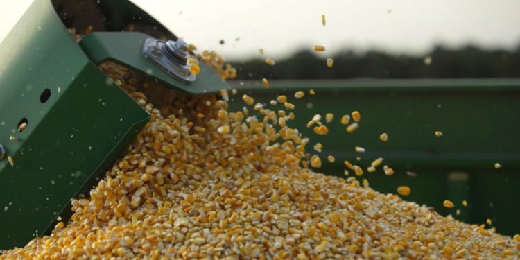 Conflicto en medio oriente hace que productores trabajen a pérdida muchas veces, afirman