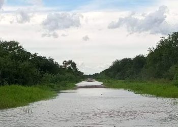 Camiones varados en el Chaco tras lluvias