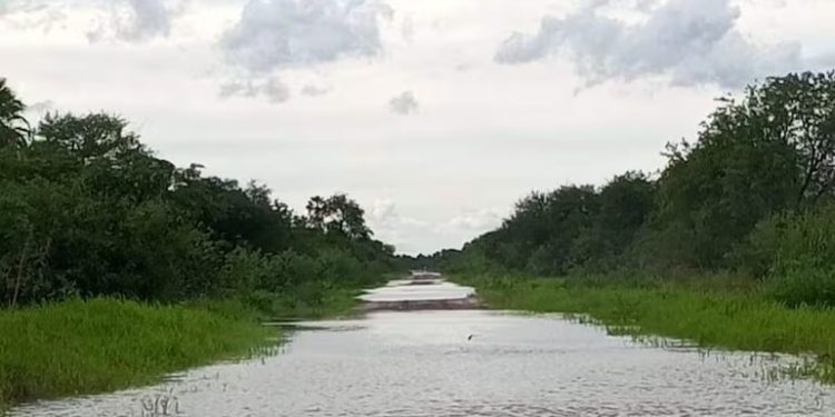 Camiones varados en el Chaco tras lluvias