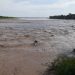 Desborde del río Pilcomayo deja comunidades inundadas en el Bajo Chaco