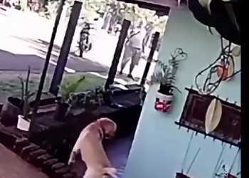 Discusión por deuda terminó en homicidio doloso