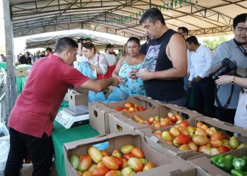 Ferias de agricultura familiar recaudan más de Gs. 800 millones