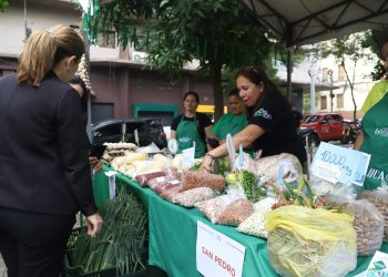 MAG impulsa nueve ferias de la agricultura familiar en cinco ciudades del país