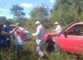 Hombre muere tras ataque de abejas en zona rural de Pilar