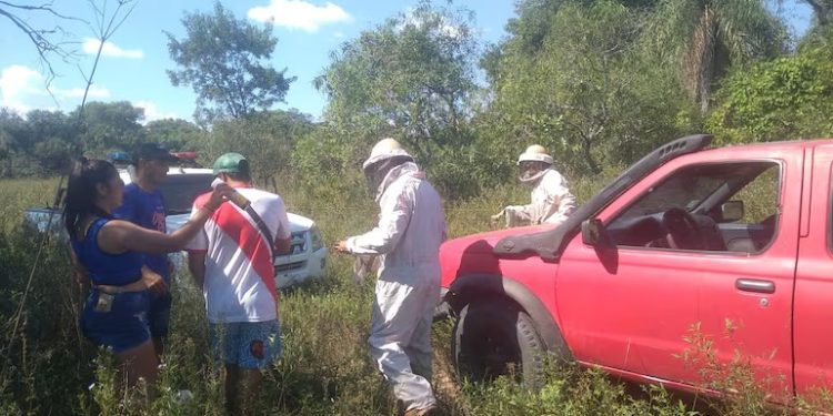 Hombre muere tras ataque de abejas en zona rural de Pilar