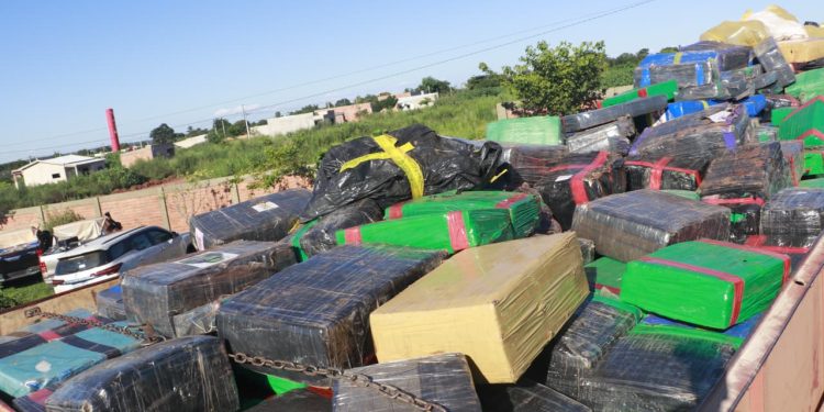 SENAD anuló la circulación de casi 21 millones de kilogramos de marihuana