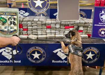 Incautan más de 130 kilos de marihuana en el Puente de la Amistad