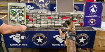 Incautan más de 130 kilos de marihuana en el Puente de la Amistad