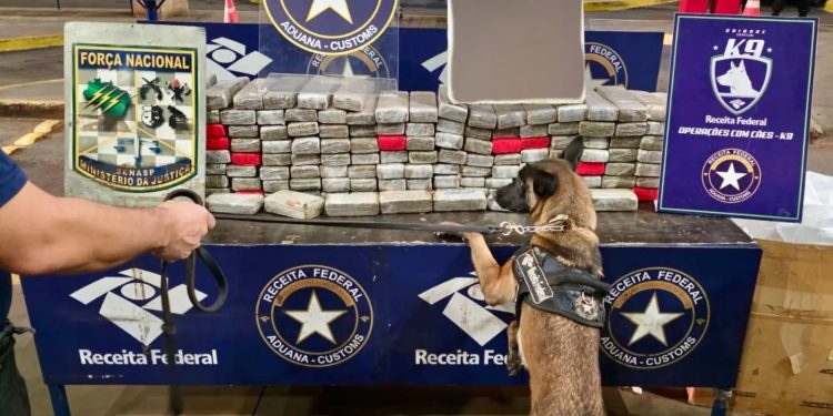 Incautan más de 130 kilos de marihuana en el Puente de la Amistad