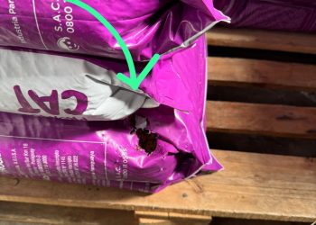 Clausuran supermercado en Villa Elisa por graves fallas sanitarias