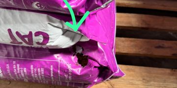 Clausuran supermercado en Villa Elisa por graves fallas sanitarias