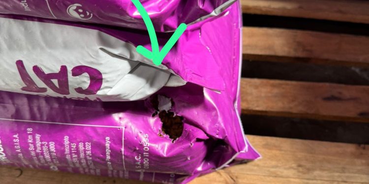 Clausuran supermercado en Villa Elisa por graves fallas sanitarias