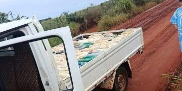 Asesinan a comerciante en presunto asalto en Alto Paraná