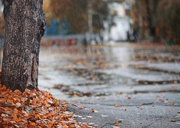 Anuncian un fin de semana «bastante húmedo»