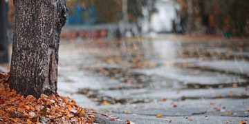 Anuncian un fin de semana «bastante húmedo»