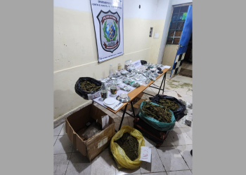 Fiscalía incautó casi nueve kilos de marihuana genética durante operativo en Lambaré