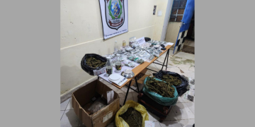 Fiscalía incautó casi nueve kilos de marihuana genética durante operativo en Lambaré