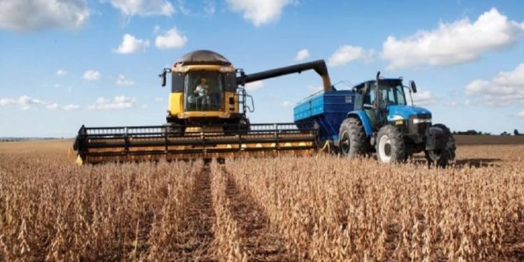 Soja: Paraguay podría superar las 12,2 millones de toneladas en la campaña 2025/26