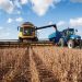 Soja: Paraguay podría superar las 12,2 millones de toneladas en la campaña 2025/26