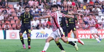 El Canario y el Rayadito miden fuerzas en Campo Grande