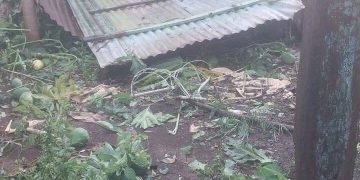 Temporal causa destrozos y deja familias afectadas en Paso Yobái