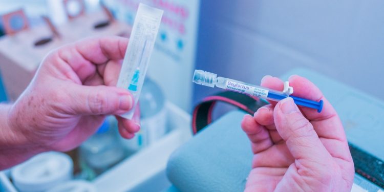 Mordedura de mono en CDE: Salud busca trasladar vacunas de otras regiones para ayudar a niña