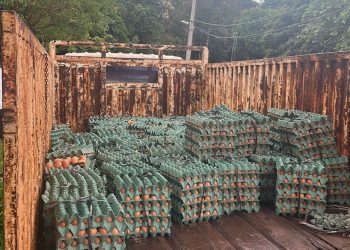 Incautan camión con carga de huevos presumiblemente de contrabando en Presidente Franco