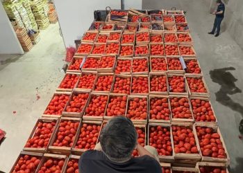 Incautan gran cantidad de productos frutihortícolas sin documentación en Fernando de la Mora