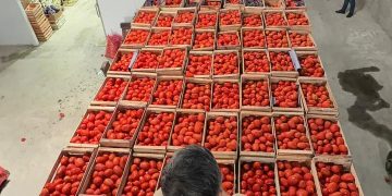Incautan gran cantidad de productos frutihortícolas sin documentación en Fernando de la Mora