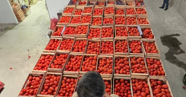 Incautan gran cantidad de productos frutihortícolas sin documentación en Fernando de la Mora