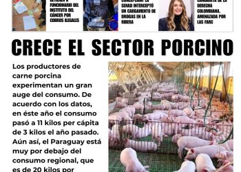 29 Abril 2026