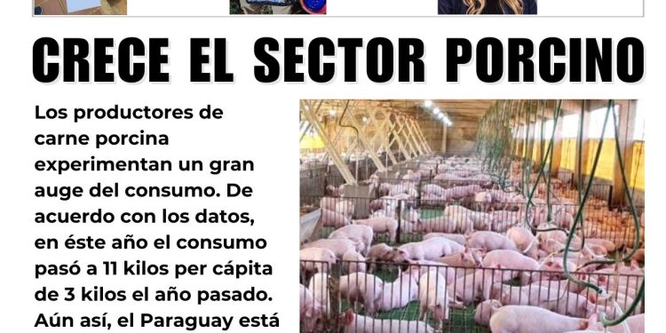 29 Abril 2026