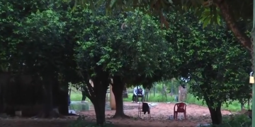 Un hombre de 80 años fue asesinado a tiros durante un robo en su casa
