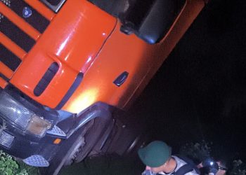 Delincuentes interceptaron y robaron unas 26 toneladas de carne a camionero