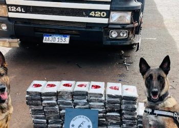 Incautan cocaína valuada en USD 1 millón y detuvieron a un paraguayo