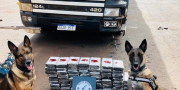 Incautan cocaína valuada en USD 1 millón y detuvieron a un paraguayo