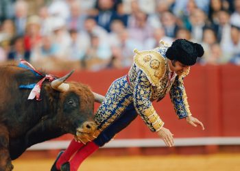 Torero está «muy grave» tras una cornada en el recto