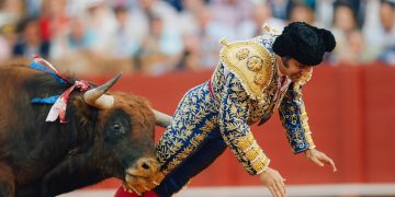 Torero está «muy grave» tras una cornada en el recto