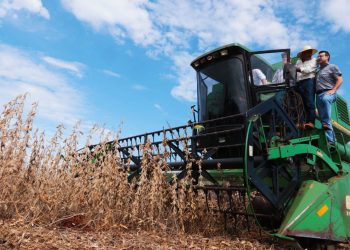 Fortalecimiento de la actividad económica: crecimiento del 3,8% en febrero