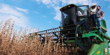 Fortalecimiento de la actividad económica: crecimiento del 3,8% en febrero